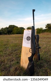 Airgun And Target