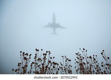 Airplane approaching for landing during gloomy autumn day. Silhouette of plane in thick fog and selective focus on plant.