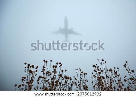 Airplane approaching for landing during gloomy autumn day. Silhouette of plane in thick fog and selective focus on plant.
