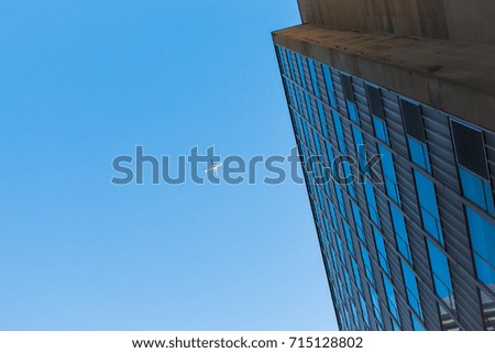 Similar – Image, Stock Photo a bird comes flying Bird