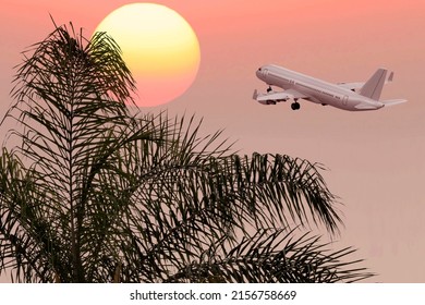 Airplane flying into the setting sun and coconut palm leaves on a tropical sunset background. Vacation, adventure and love concept
