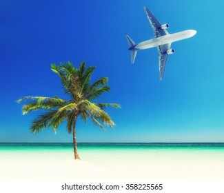 396 Jet over palm trees Images, Stock Photos & Vectors | Shutterstock