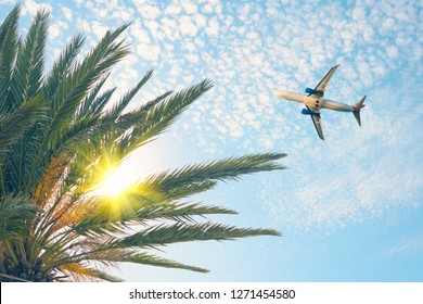 Airplane flying over tropical palm tree on cloudy sunset sky background. Summer and travel concept 
