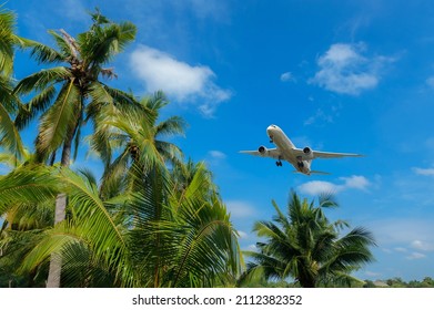 airplane flying over tropical palm trees. clear blue sky vacation time. - Powered by Shutterstock