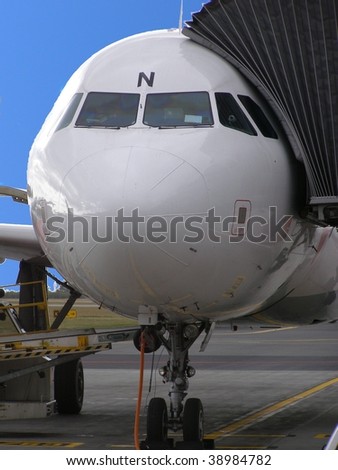 airplane at the gate