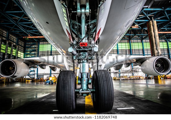 Airplane in Hangar and landing\
gear