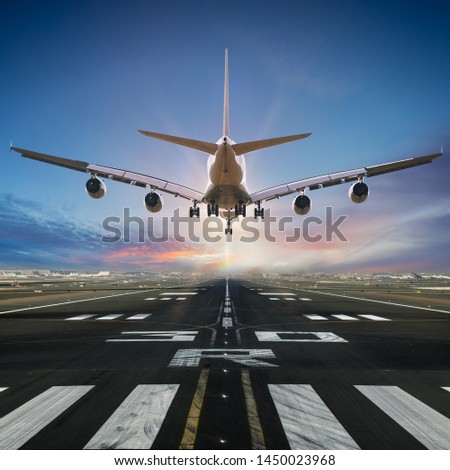 Airplane landing at the airport, back view.