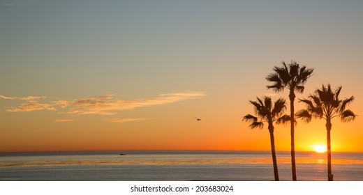 An airplane lands in San Diego at sunset
