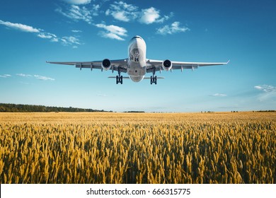 Airplane. Landscape with big white passenger airplane is flying in the blue sky over wheat field at colorful sunset in summer. Passenger airplane is landing. Business trip. Commercial plane. Vintage - Powered by Shutterstock