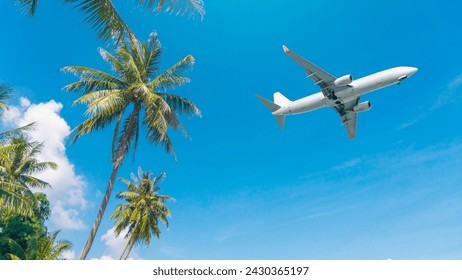 The Airplane over coconut trees, travel to summer vacation destination to relax on a beautiful tropical beach.	 - Powered by Shutterstock