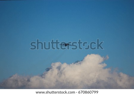 Similar – Two seagulls in the sky