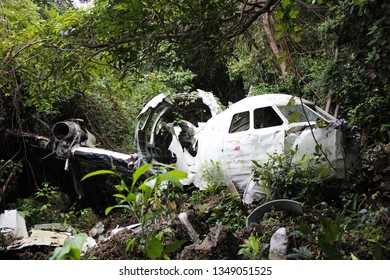 Airplane Wreck in Jungle