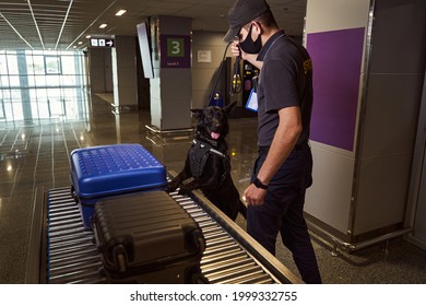Airport security worker and detection dog checking luggage - Shutterstock ID 1999332755
