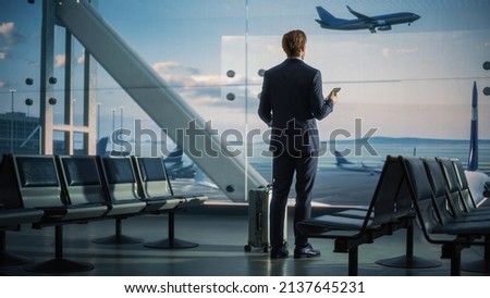 Airport Terminal: Businessman with Rolling Suitcase Walks, Uses Smartphone App for e-Business. Back View Silhouette of Traveling Man Waits for Flight in Boarding Lounge of Airline Hub with Airplanes