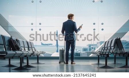 Airport Terminal: Businessman with Rolling Suitcase Walks, Uses Smartphone App for e-Business. Back View Silhouette of Traveling Man Waits for Flight in Boarding Lounge of Airline Hub with Airplanes