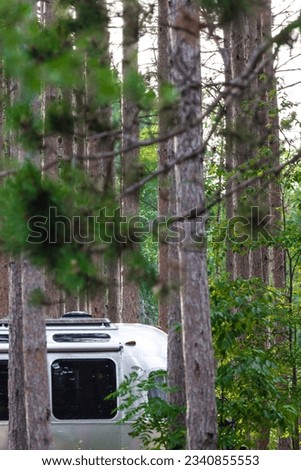 Airstream trailer admist a group of tall evergreen trees