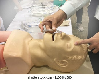 Airway Management Model And Medical Equipment : Doctor Placement Tube In Nose: CPR Simulator