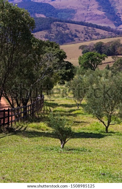 Aiuruoca Minas Gerais fonte: image.shutterstock.com