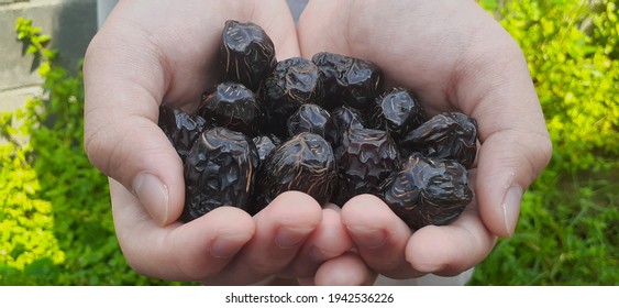 Ajwa Aliyah Dates In  Hand