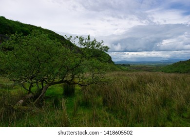 Aka Speckled Mountain,Carrowkeel, Co. Sligo, Ireland