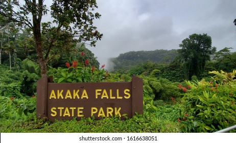 Akaka Falls State Park Hawaii