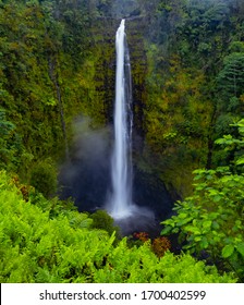 Akaka Falls State Park In Hilo, HI 