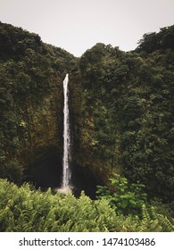 Akaka Waterfall. Hawaii. Kona Island