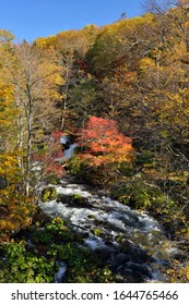 Akan River In Autumn. Akan Mashu National Park.