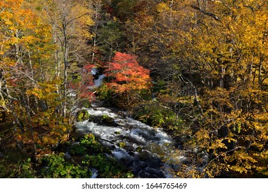 Akan River In Autumn. Akan Mashu National Park.