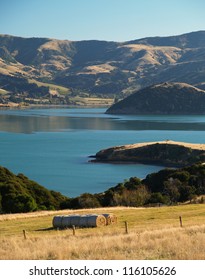 Akaroa, Banks Peninsula, New Zealand