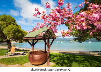 Akaroa Harbour In Spring, New Zealand