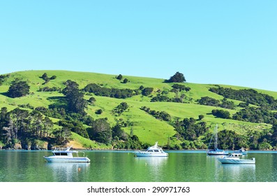 AKAROA, NEW ZEALAND -NOV24: Akaroa On Nov 24, 2014 In Akaroa, NZ. Akaroa Is A Historic French And British Settlement Nestled In The Heart Of An Ancient Volcano On Banks Peninsula, NZ.