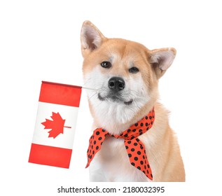 Akita Inu Dog With Flag Of Canada Isolated On White