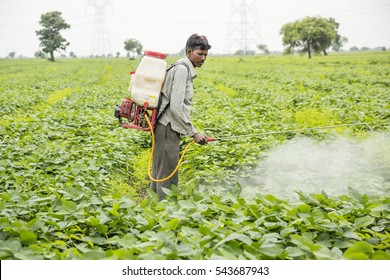 796 Spray Indian Farmer Images, Stock Photos & Vectors | Shutterstock