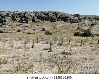Aksaray bozkır arazi - Aksaray steppe land - Shutterstock ID 2358360209