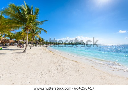 Akumal beach - paradise bay  - tropical beach in Quintana Roo, Mexico - caribbean coast