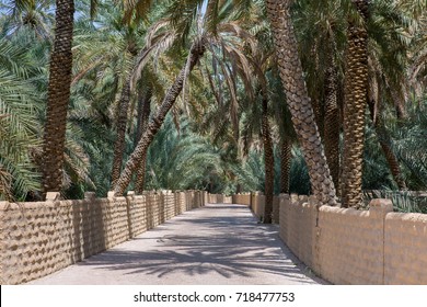 Al Ain Oasis