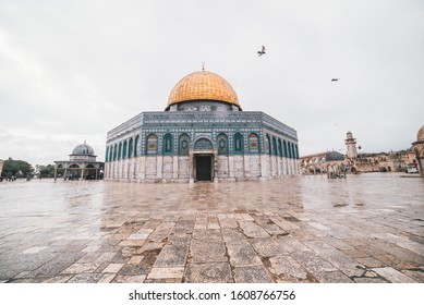 Al Aqsa Mosque and raining day with birds