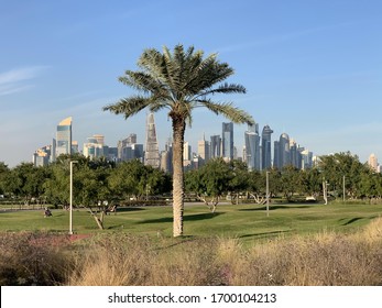 Al Bidda Park Doha Qatar Palm Tree West Bay