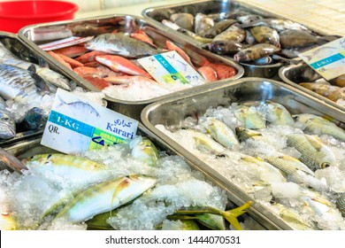 98 Doha Fish Market Images, Stock Photos & Vectors | Shutterstock