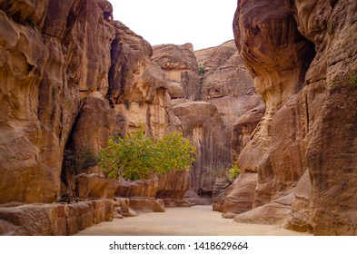 Al Siq Canyon In Petra Jordan