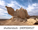 AL WAJH, SAUDI ARABIA, Camel Rock. The unique rock formation was found on the way to Tabuk region.