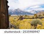 Alabama Hills National Scenic Area California