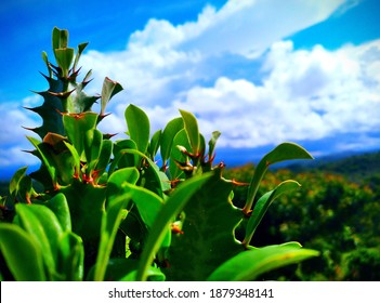 Pemandangan Alam High Res Stock Images Shutterstock