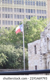 The Alamo And Texas Flag