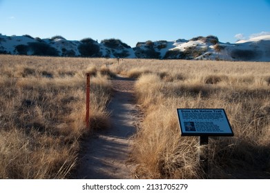 ALAMOGORDO, NEW MEXICO - DECEMBER 9, 2013: The Dune Life Nature Trail At White Sands National Monument, Marked By A Sign.