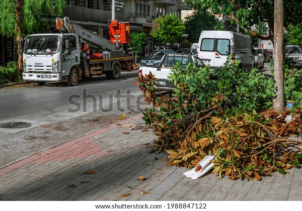 Alanya, Turkey -\
October 23, 2020: A pile of cut branches with dry leaves on the\
background of an autotower on a city street in Alanya. Urban tree\
pruning service. Caring for\
plant