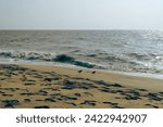 Alappuzha Beach is a beach in Alappuzha (Alleppey beach) town and a tourist attraction in Kerala, India