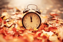 Alarm Clock On Autumn Leaves Natural Background