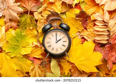 Alarm Clock On Autumn Leaves. Daylight Saving Time End